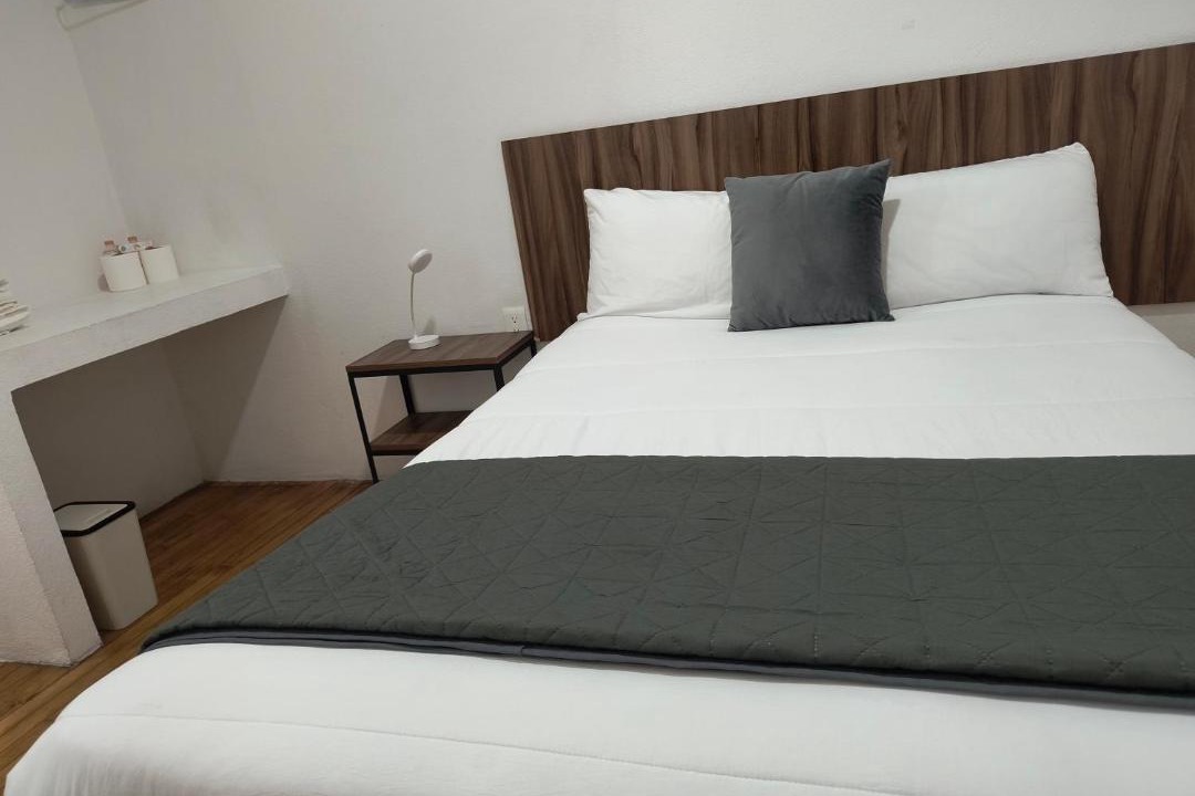 Photo of Bedroom in Reforma