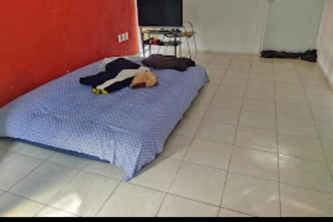 Photo of Others in Chiapa De Corzo