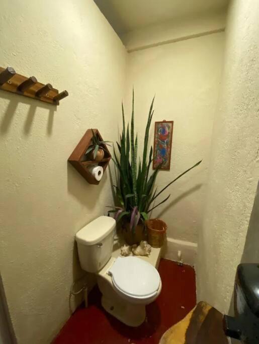 Photo of Bathroom in Brisas de Zicatela