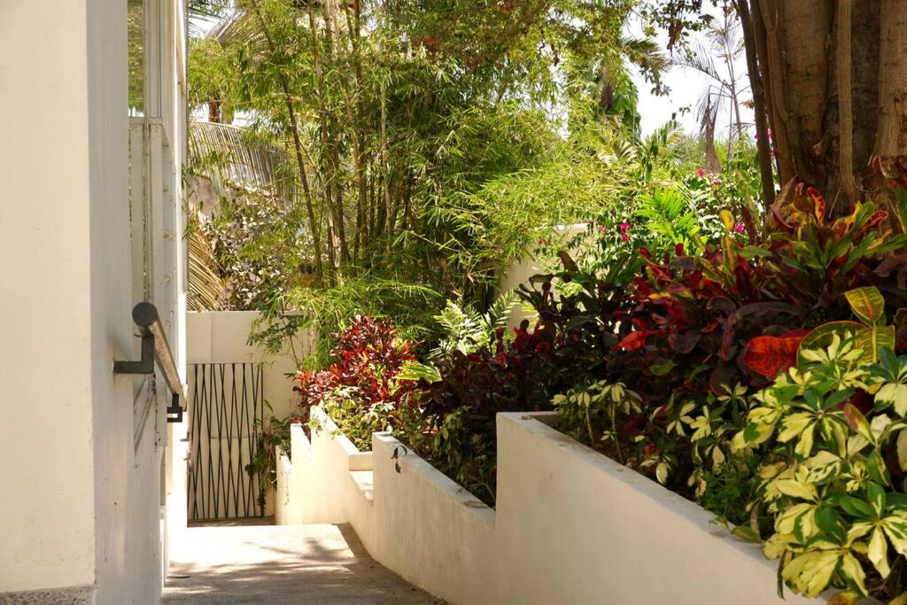 Photo of Others in North End