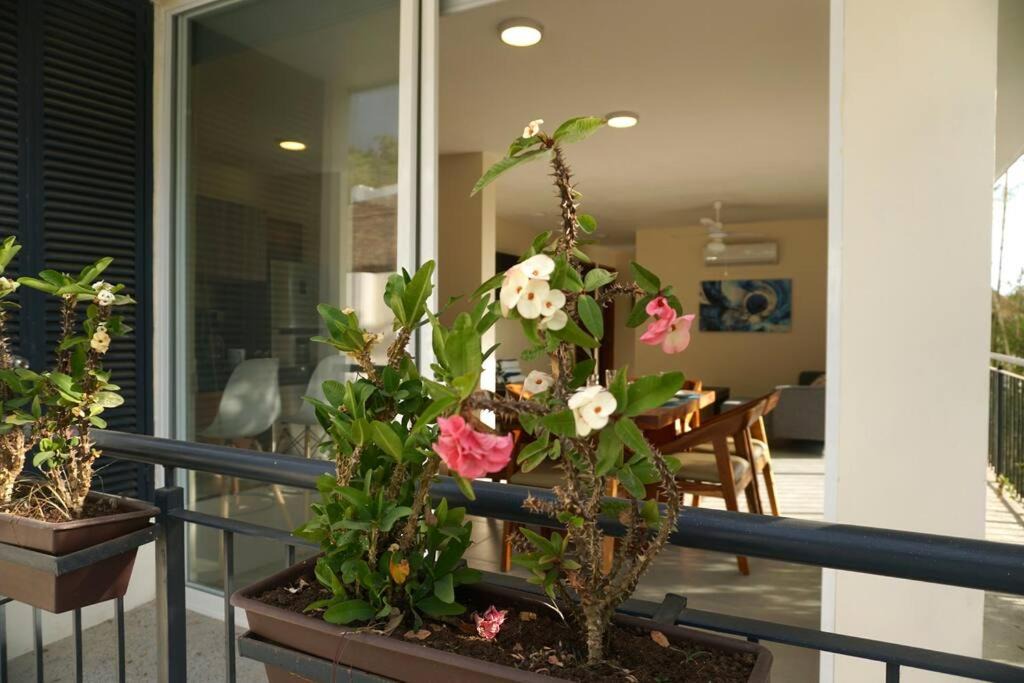 Photo of Patio Balcony in North End