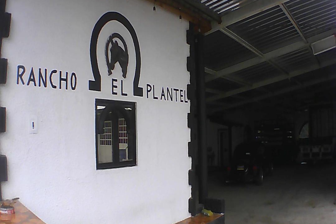 Photo of Others in Villa Aldama