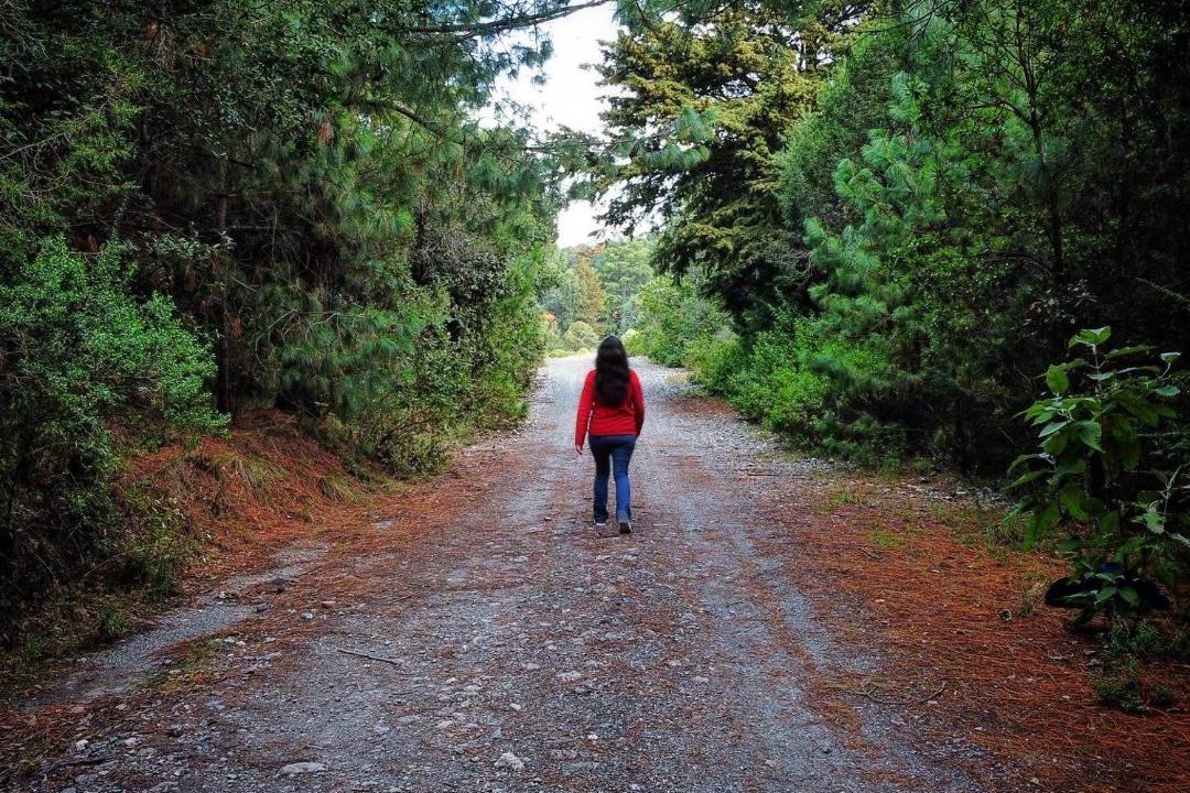 Photo of Others in El Oro