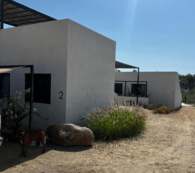 Photo of Others in Todos Santos