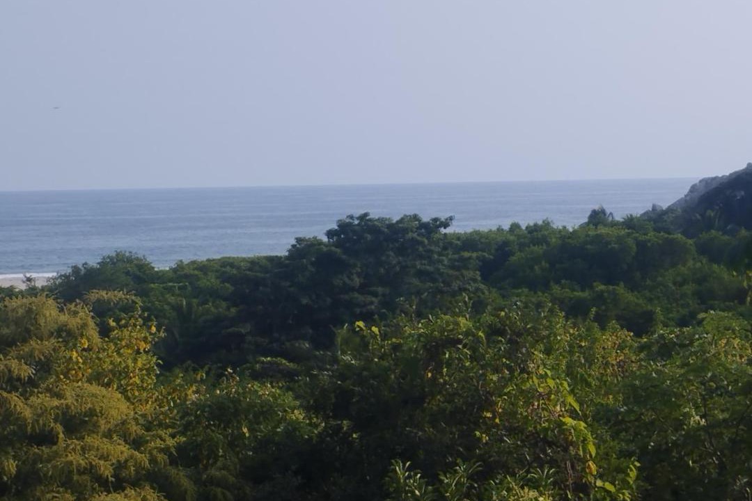 Photo of Others in San Pedro Huamelula