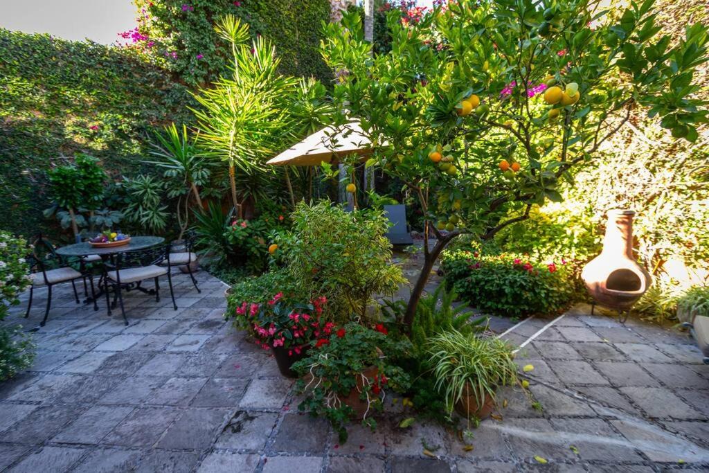 Photo of Patio Balcony in Colonia San Antonio