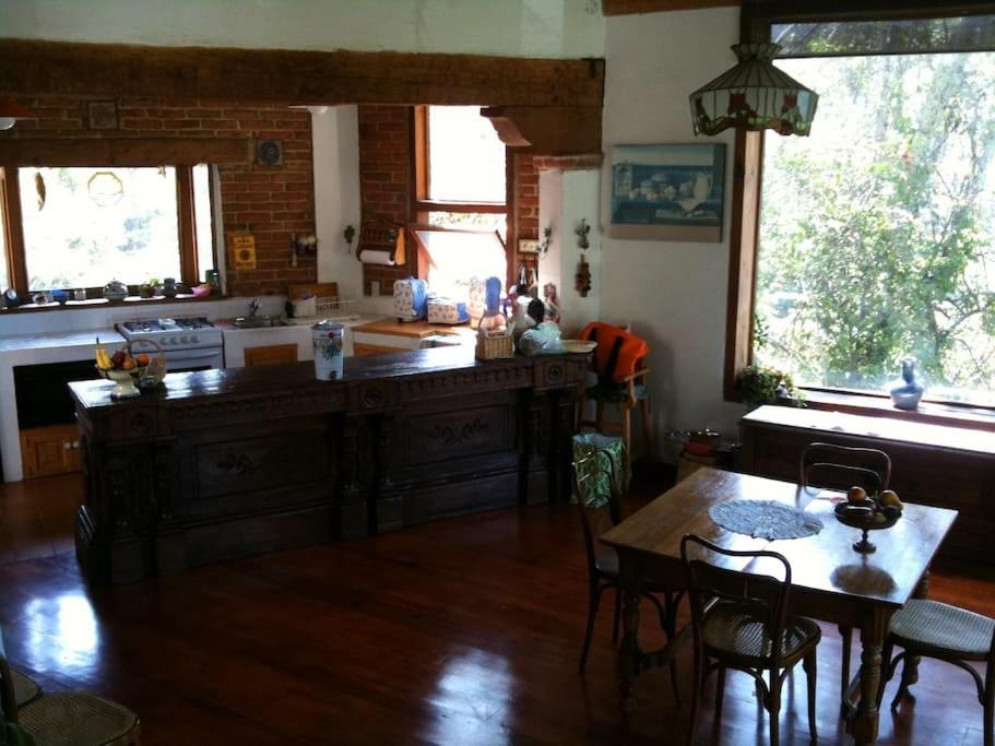 Photo of Kitchen in Monte Alto