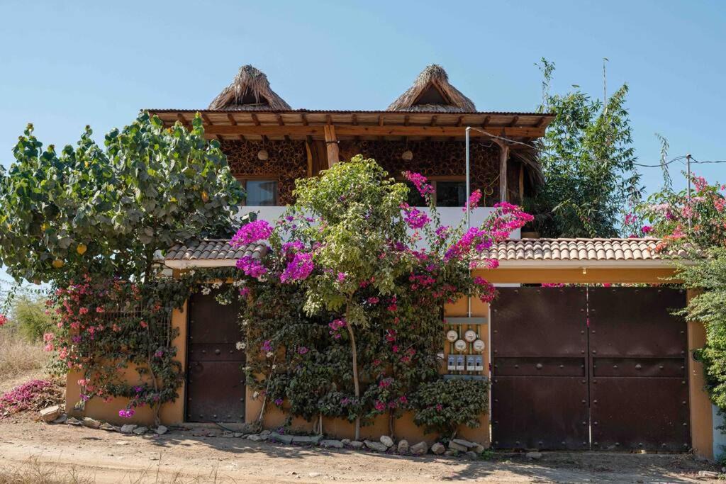 Photo of Others in San Pedro Mixtepec