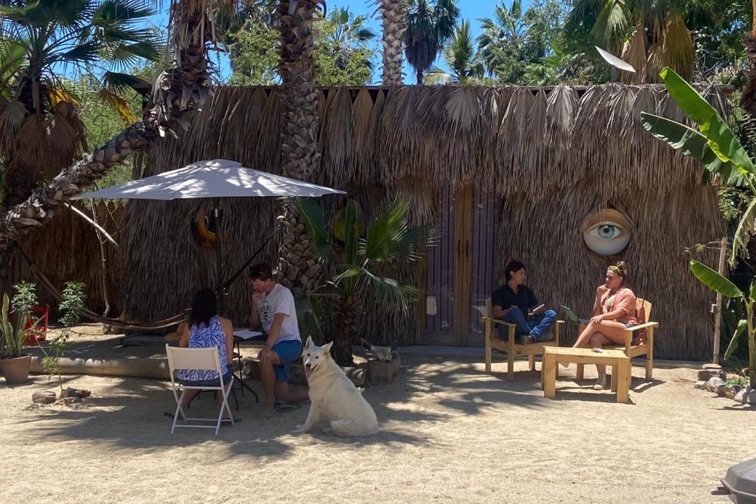 Photo of Others in Todos Santos