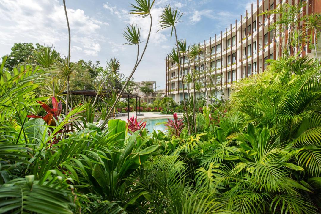 Photo of Others in Tulum