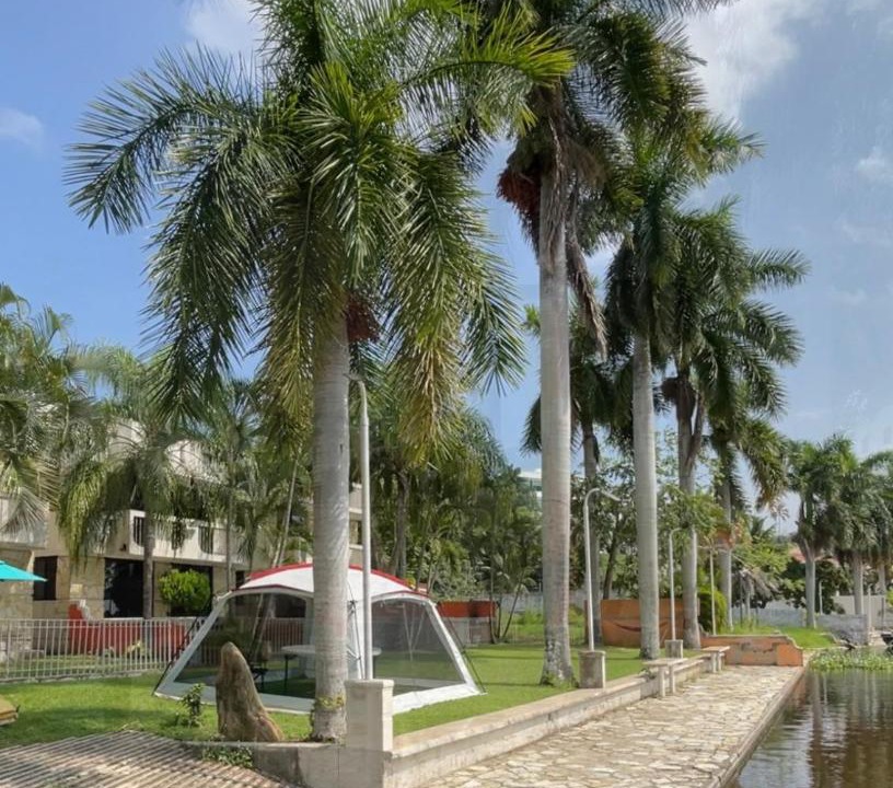 Photo of Others in Tampico
