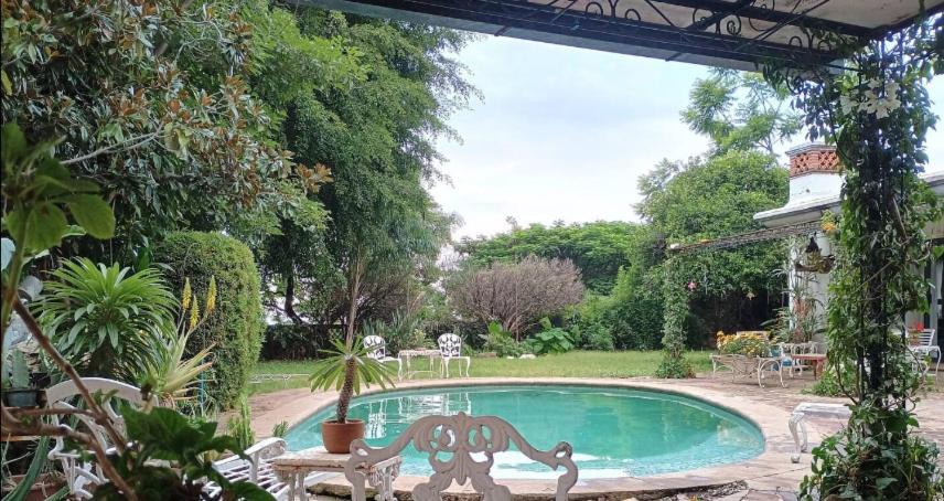 Photo of Others in Central Cuernavaca