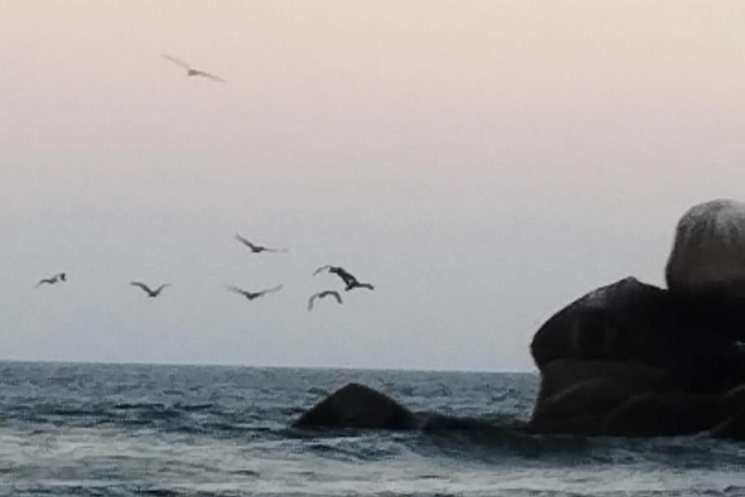 Photo of Others in San Pedro Huamelula