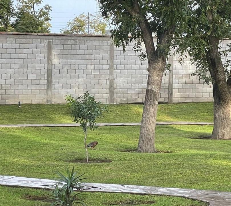Photo of Others in Parras de la Fuente