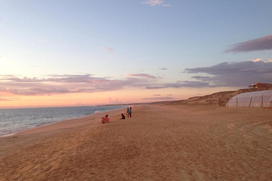 Photo of Others in Todos Santos