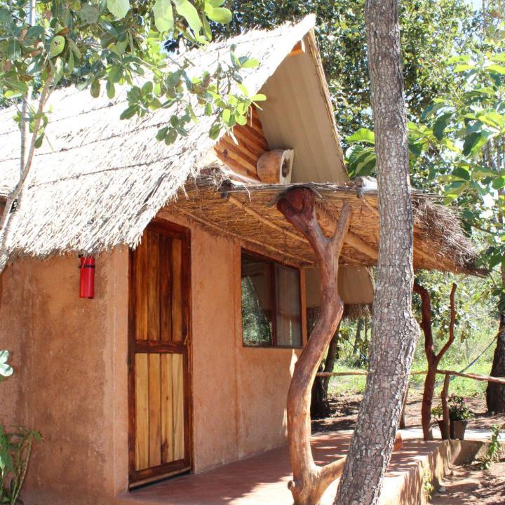 Photo of Others in Xalisco