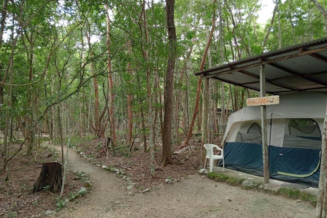 Photo of Others in Calakmul