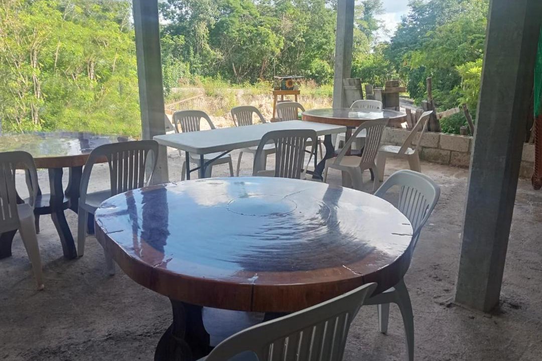 Photo of Others in Calakmul