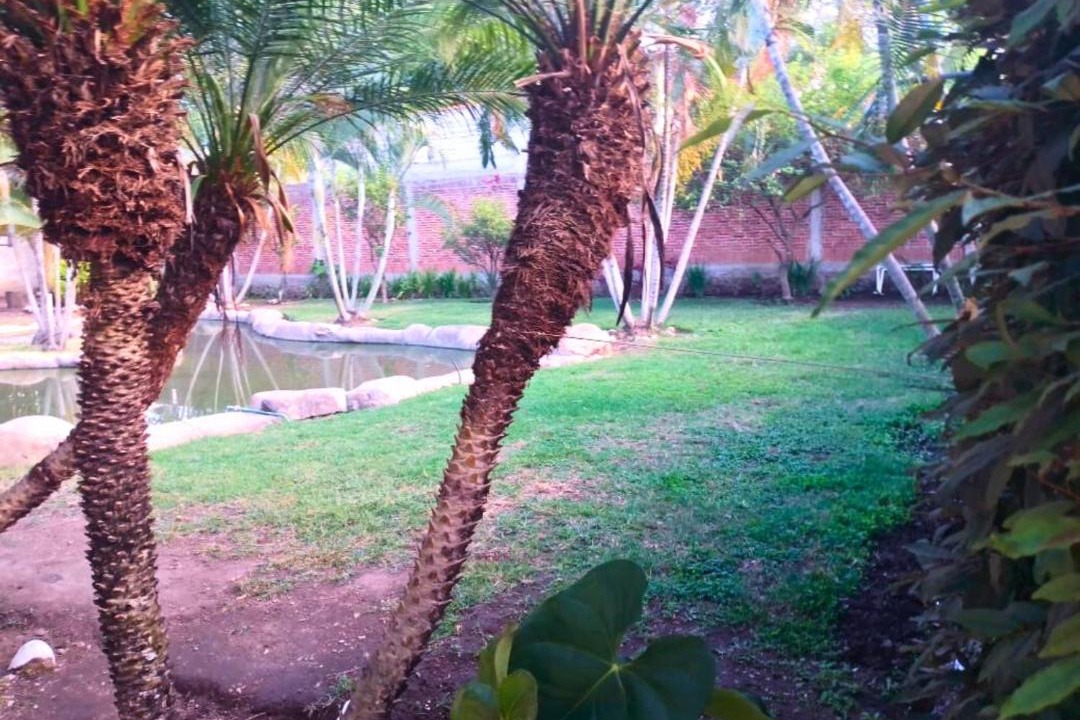 Photo of Others in Cocoyoc