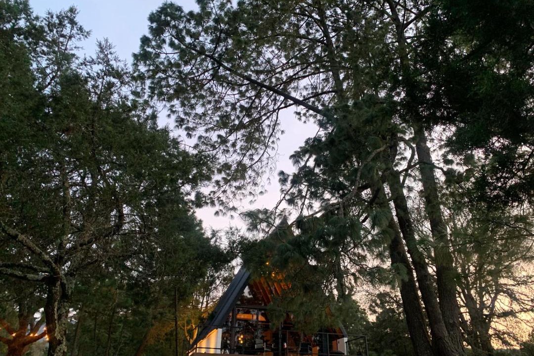 Photo of Others in Chignahuapan