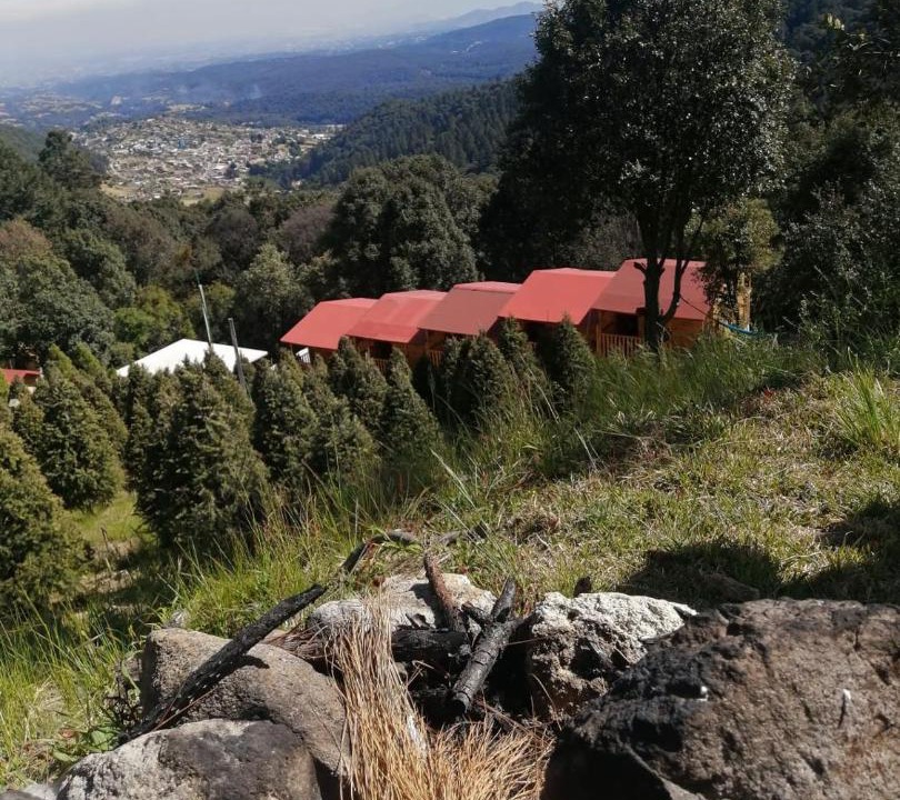 Photo of Others in Toluca City-Centre