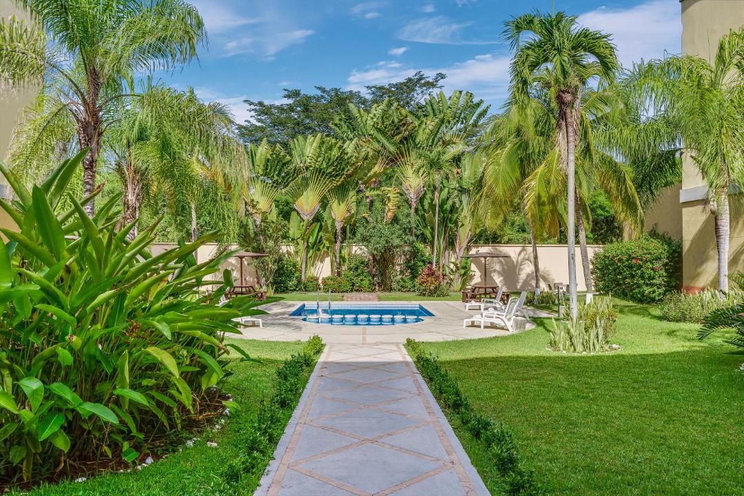 Photo of Others in Colima