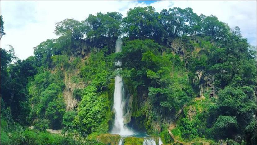 Photo of Others in Tamasopo