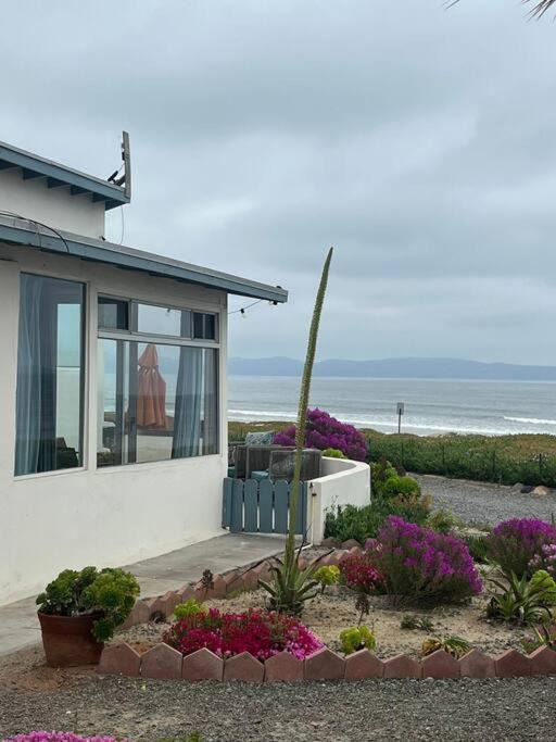 Photo of Others in Ensenada