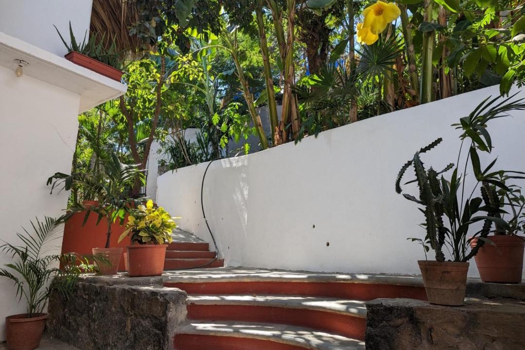 Photo of Others in Mazunte