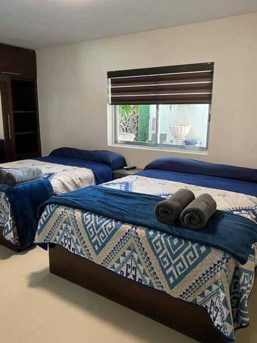 Photo of Others in Los Mochis