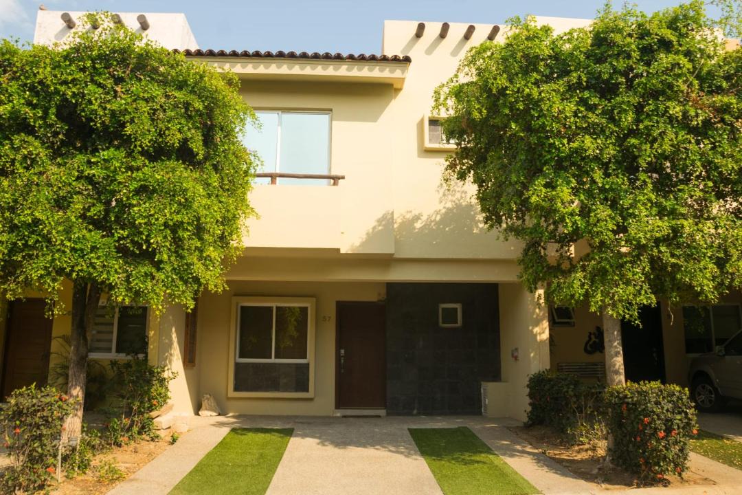 Photo of Others in Flamingos