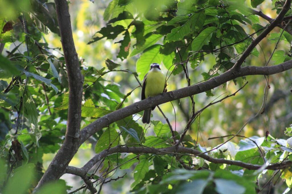 Photo of Others in Xilitla