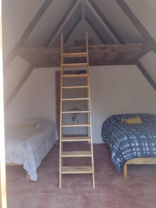 Photo of Bedroom in Xilitla