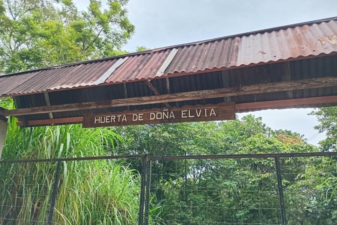 Photo of Others in Xilitla