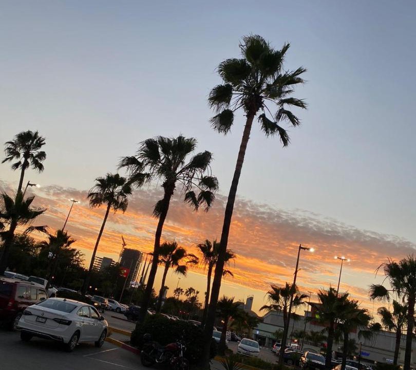 Photo of Others in Quinta del Mar