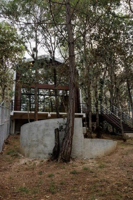 Photo of Others in San Cristobal de las Casas