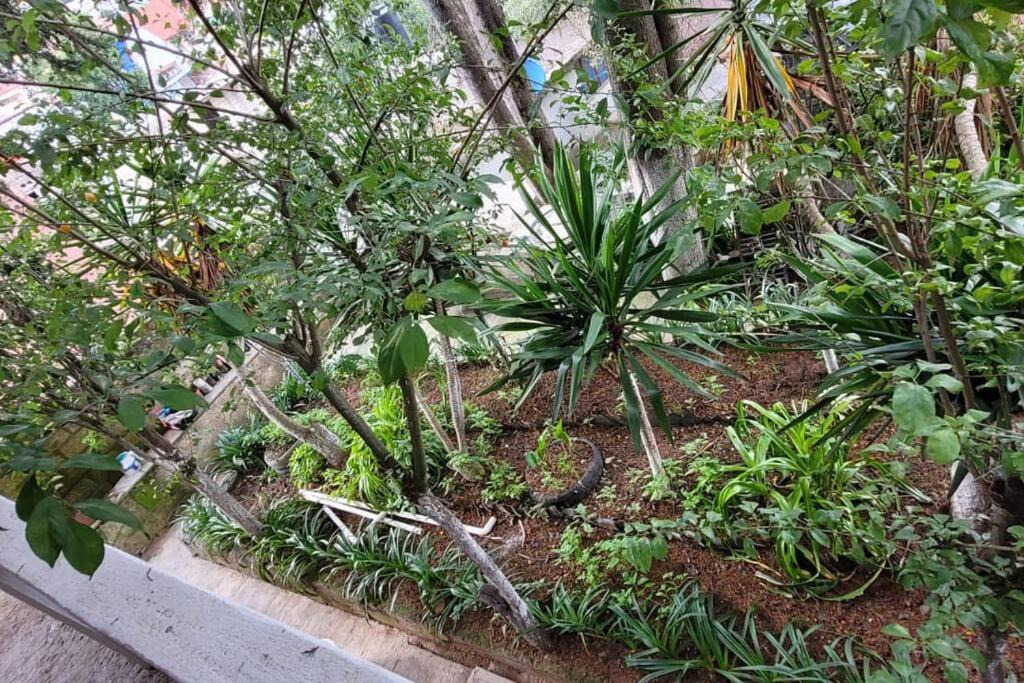 Photo of Outdoor in Mineral del Monte