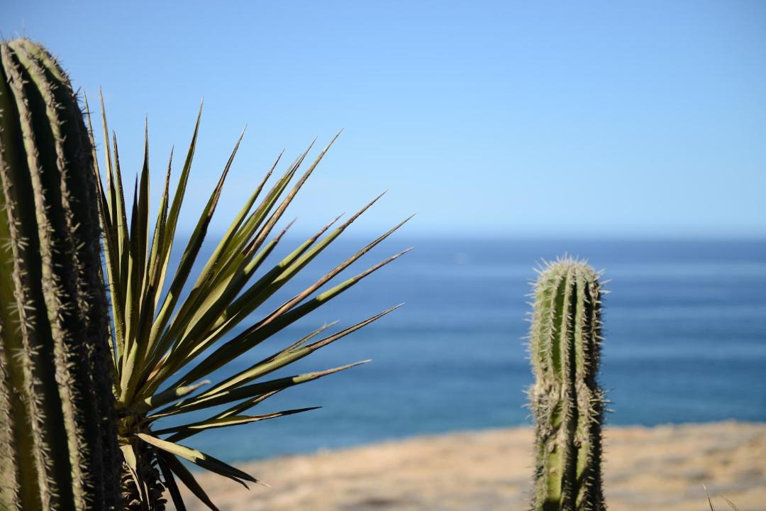 Photo of Others in El Pescadero