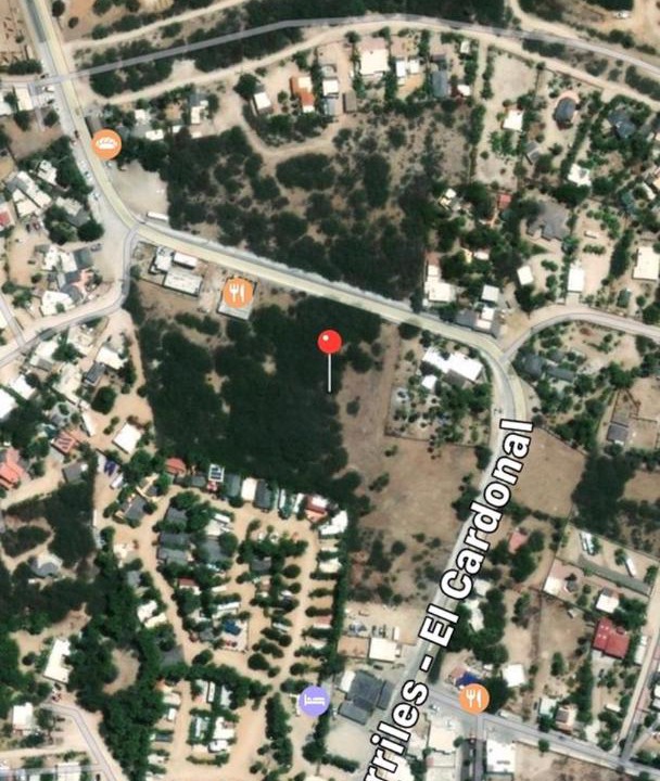 Photo of Others in Los Barriles