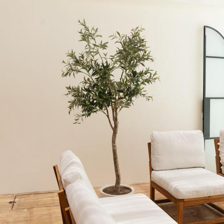 Photo of Livingroom in Centro