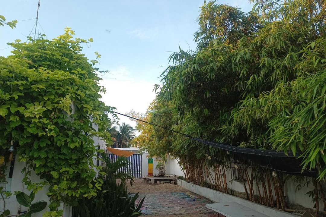 Photo of Others in Progreso Municipality