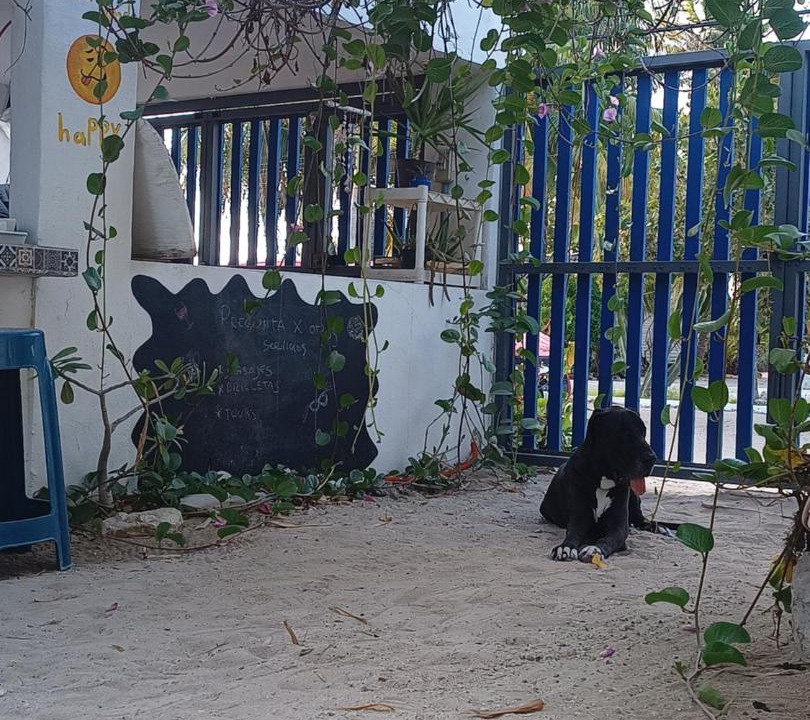 Photo of Others in Progreso Municipality
