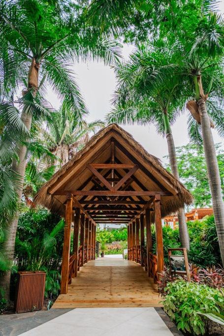 Photo of Others in La Puntilla