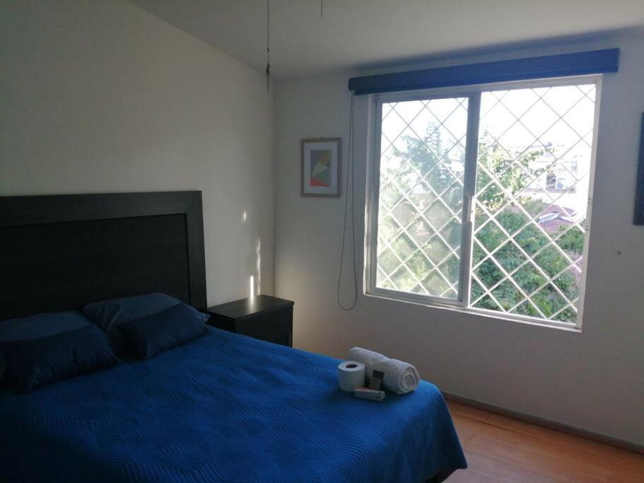 Photo of Bedroom in Tepic
