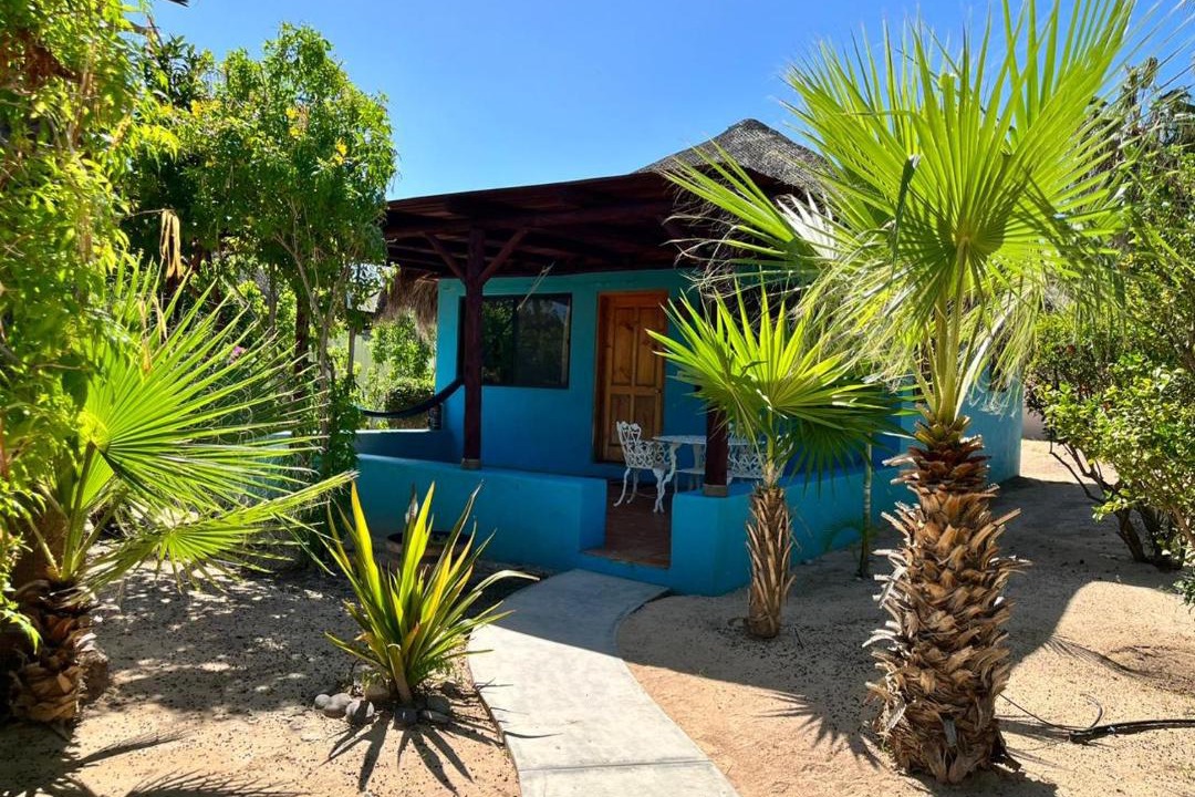 Photo of Others in Cabo Pulmo