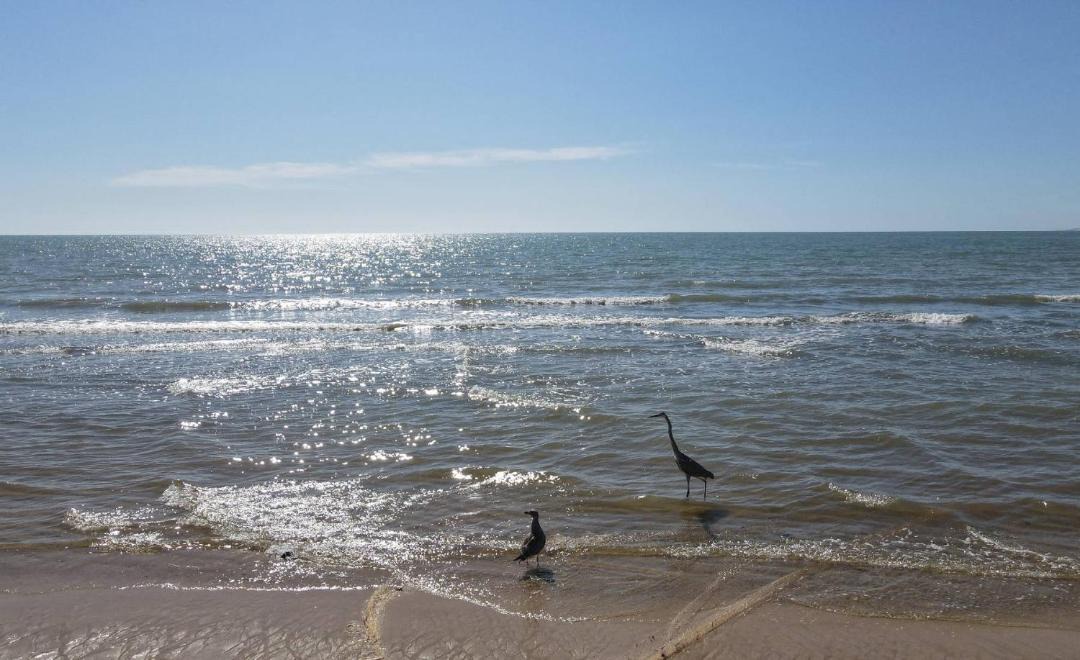 Photo of Others in San Felipe