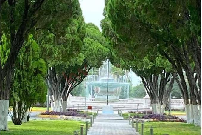 Photo of Others in Torreon