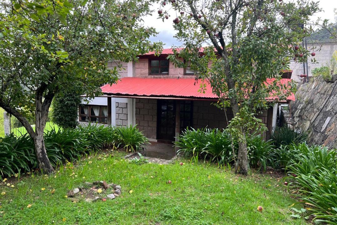 Photo of Others in Mineral del Chico