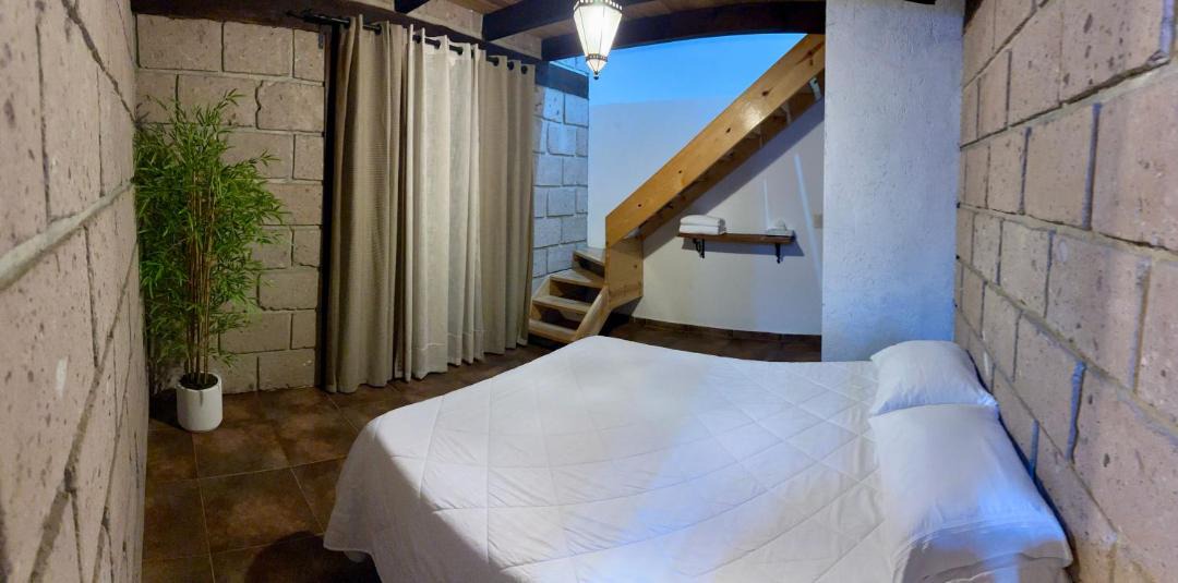 Photo of Others in Mineral del Chico