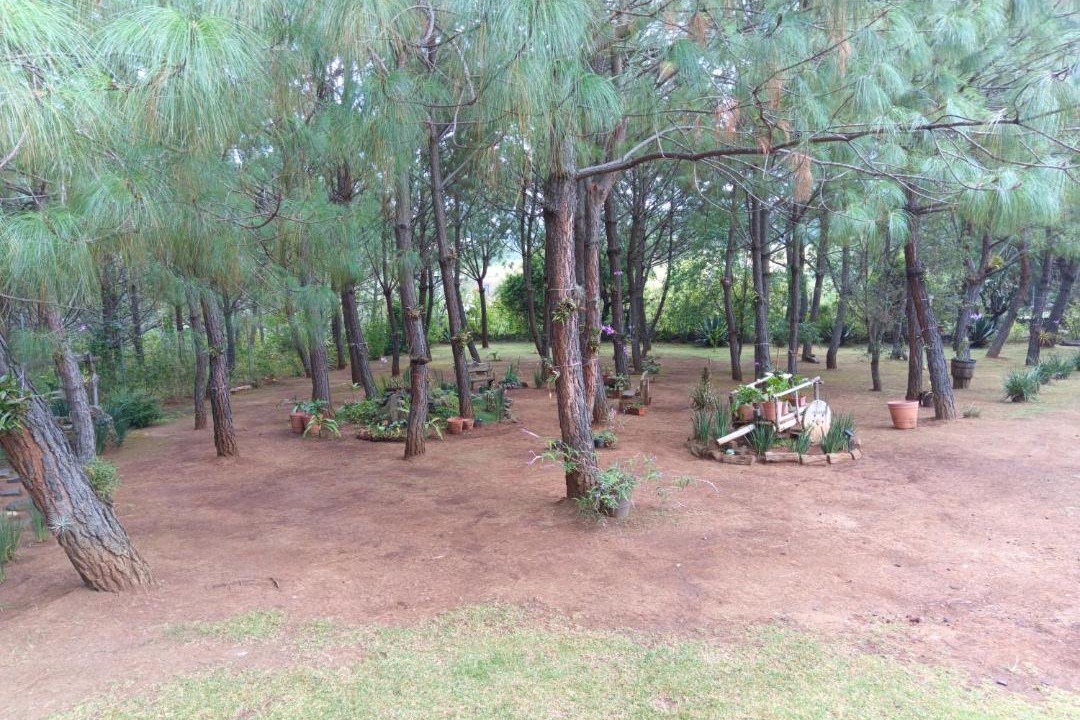 Photo of Others in Atemajac de Brizuela